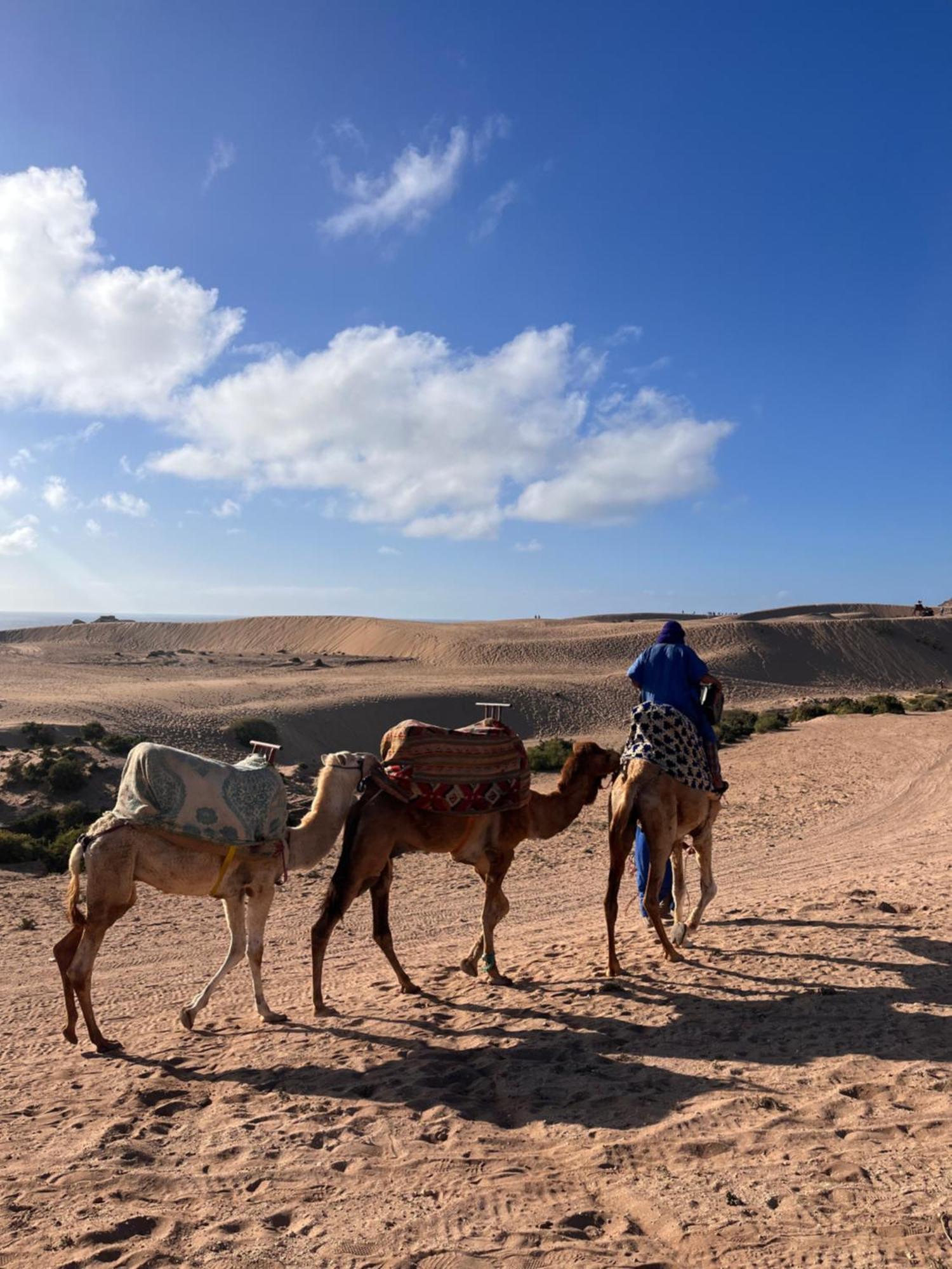 Nizar Surf Morocco Hostel Taghazout Εξωτερικό φωτογραφία